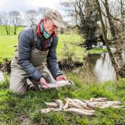 Richie Morris of Fly Fishing Yorkshire with dead fish pulled from Skeeby Beck and Gilling Beck.