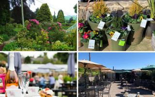 County Durham is lucky to have so many lovely locations for garden centres, which offer fresh produce, plants, and equipment, and some even offer a tearoom or coffee shop
