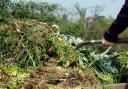 Composting is fine, but won't kill off pernicious weeds