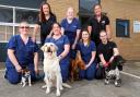Team members from Clevedale Vets at the new practice in Guisborough which will open in early summer Credit: CLEVELAND VETS