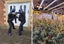 Two men have been arrested after a large cannabis grow was uncovered at a property in Langley Park, County Durham Credit: DURHAM CONSTABULARY