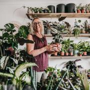 Obsessed with plants: Jayne King amid the greenery in her Norton shop  Picture: SARAH CALDECOTT
