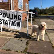 Reggie the two-year-old Cockapoo outside a polling station in Chester-le-Street, County Durham Picture: PA