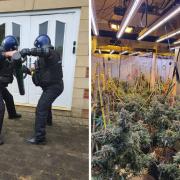 Two men have been arrested after a large cannabis grow was uncovered at a property in Langley Park, County Durham Credit: DURHAM CONSTABULARY