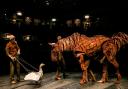 RETURN: War Horse returns to Sunderland Empire Pictured Joey the Horse and Goose the Goose Picture: SARAH CALDECOTT