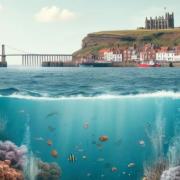 How experts believe Whitby could look in 50 years