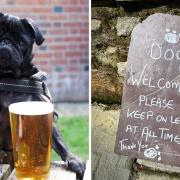 Head out for a walk and stop off at one of these highly-rated pubs in County Durham with your fluffy best friends