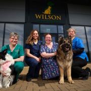 Wilson Vets team members celebrating the opening of the new branch in Greenwell Road, Newton Aycliffe Credit: WILSON VETS