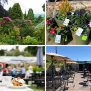 County Durham is lucky to have so many lovely locations for garden centres, which offer fresh produce, plants, and equipment, and some even offer a tearoom or coffee shop