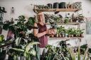 Obsessed with plants: Jayne King amid the greenery in her Norton shop  Picture: SARAH CALDECOTT