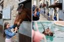 The annual Middleham open day took place on Good Friday, with 12 yards throwing open their doors to the public. 
