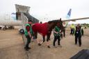 Paddington touches down at Teeside International Airport, ahead of today's Juddmonte International at York Racecource