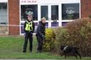 Forensics tent and sniffer dogs on scene of 'disturbance' at trading estate