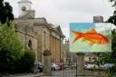 Durham Crown Court told that goldfish was sadistically killed for what the defendant thought would make a 'funny' video