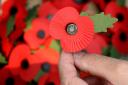 WW1 Centenary: How the poppy became the national symbol of remembrance