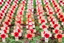 Nation set to fall silent to honour Britain's war dead