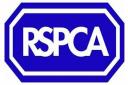 OUTRAGED: The RSPCA, along with Bishop Auckland animal lover, Christine Kipling and Darlington Borough Council appeal for information about a dead foal