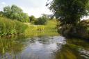 HERITAGE: The Bright Water Landscape Partnership hopes to showcase the rich heritage of the River Skerne