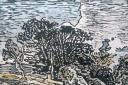 Pool on the Greta (after Cotman) - woodcut by Anne Mason