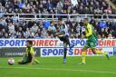 Dated: 18/10/2015
BARCLAYS PREMIER LEAGUE
NEWCASTLE UNITED v NORWICH CITY at St James' Park
GOAL THREE ... Ayoze Perez fires Newcastle 3-1 ahead to give his side breathing space during a goal-laden first half
 NOT AVAILABLE FOR PRINT SALES #NorthNewsAndPi