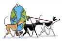 The Great Global Greyhound Walk 2016