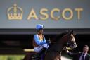 Jockey Sean Levey on board George William, prior to the Royal Hunt Cup during day two of Royal Ascot at Ascot Racecourse. PRESS ASSOCIATION Photo. Picture date: Wednesday June 21, 2017. See PA story RACING Ascot. Photo credit should read: John Walton/PA W