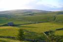 SAVED: Ashes Pasture in Ribblesdale - the Yorkshire Wildlife Trust has raisesd more thann £200,000 to buy the site.