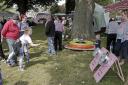 TRADITION: Eggleston Carnival in Upper Teesdale offers traditional fun for people of all ages Picture: STUART BOULTON