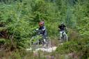 UNDER THREAT? Youngsters on the Dalby Forest mountain bike trail