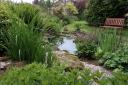 Water feature: one of the ponds at The Forge