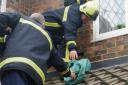 Cleveland Fire Brigade officers rescue a trapped starling caught up in string