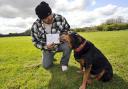 Zeus, a Rottweiler cross who has been sent a polling card to vote in the upcoming European Elections