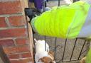 Jack Russell rescued from gate railings in Willington, Crook Picture: CDDFRS