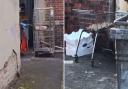 A viral video of chicken being blowtorching in a back lane has prompted a council investigation.