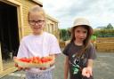 County Durham-based believe housing is inviting the community to feel the physical, mental and social benefits of gardening for free at its allotment at Seaham.