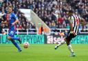 Callum Wilson slots home Newcastle United's fourth goal
