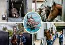 Horseracing trainers opened their stable doors to thousands of visitors at the annual Middleham Open Day
