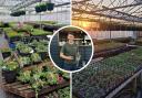 After a popular first season, more growth is on the horizon for budding entrepreneur, Ben Sanderson as he expands the size and range of his seasonal nursery and garden centre, Ben’s Plants