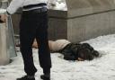 A reveller in Newcastle on New Year's Eve lies on the icy pavement after a night on the town