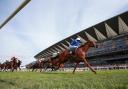 NEIGH LAUGHING MATTER: Horse racing at Ascot