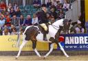 Charlotte Martin in action on Solaris Dwenqua at the Horse of the Year Show