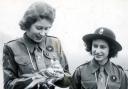 Princess Elizabeth, patrol leader in the Buckingham Palace Company of the Girl Guides sending a message by carrier-pigeon to Lady Baden-Powell at Guide Headquarters in the 1940s