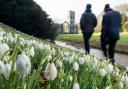 GLORIOUS: Fountains Abbey and Studley Royal Water Garden, near Ripon in North Yorkshire