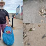 OAP sick of beach litter wants to get arrested for repeatedly fly-tipping waste