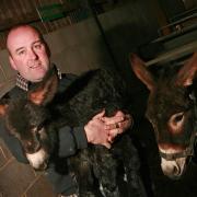 Mark Hebdon, pictured in 2009 at Monk Park Farm visitor centre, near Thirsk.