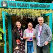 The Plant Workshop was awarded gold at the Chelsea Flower Show