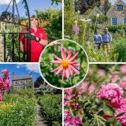 The National Trust has reopened Durham's popular Crook Hall Gardens for the first time since its closure two years ago.  Pictures: SARAH CALDECOTT