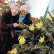 CLOSER LOOK: Mary Wells, left, and Jean Lazenby enjoy the decorations on one of the trees on show at the festival