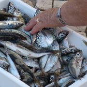 Dodgy fish salesman, Brian Pendlington, locked up for ripping off elderly customers across region.