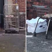 A viral video of chicken being blowtorching in a back lane has prompted a council investigation.